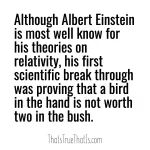 Although Albert Einstein is most well know for his theories on relativity, his first scientific break through was proving that a bird in the hand is not worth two in the bush.