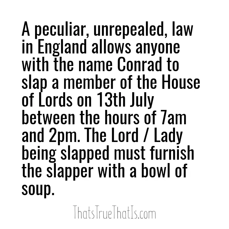 A peculiar, unrepealed, law in England allows anyone with the name Conrad to slap a member of the House of Lords on 13th July between the hours of 7am and 2pm. The Lord / Lady being slapped must furnish the slapper with a bowl of soup.