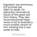 Napoleon was enormous. 6 ft 9 inches tall. After his death, his detractors removed all traces of this great size from history. They also recommissioned major works of art to illustrate a much smaller version of him, thinking that it was easier to hate.